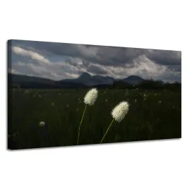 obraz-na-plotnie-natura-kwiatki-polne-120x60-cm-pole-gory-roslinnosc-chmury