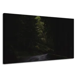 obraz-na-plotnie-natura-gorska-droga-120x70-cm-las-mrok-tajemniczosc-cien