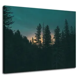obraz-na-plotnie-natura-las-o-zmroku-100x80-cm-mrok-ciemnosc-wschod-slonca