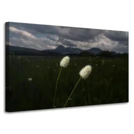 obraz-na-plotnie-natura-kwiatki-polne-100x60-cm-pole-gory-roslinnosc-chmury