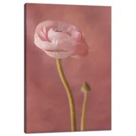 obraz-na-plotnie-botanika-rozowa-peonia-40x60-cm-na-pudrowo-rozowym-tle