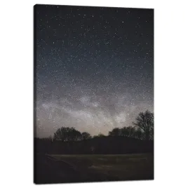obraz-na-plotnie-kosmos-gwiezdziste-niebo-40x60-cm-gwiazdozbiory-niebo