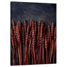 obraz-na-plotnie-botanika-ciemna-pszenica-50x70-cm-brazowa-na-ciemnym-tle