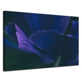 obraz-na-plotnie-botanika-fioletowe-platki-120x80-kwiat-idealny-do-sypialni