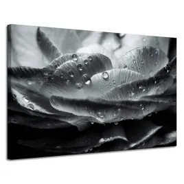 obraz-na-plotnie-kwiat-w-kroplach-rosy-120x80-cm-czarno-bialy-w-szarosciach