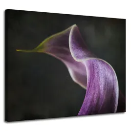obraz-na-plotnie-kwiat-fioletowy-platek-100x80-cm-natura-kontrast-szare-tlo