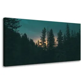 obraz-na-plotnie-natura-las-o-zmroku-80x40-cm-mrok-ciemnosc-wschod-slonca
