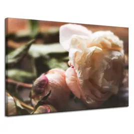obraz-na-plotnie-botanika-kwiaty-piwonia-120x80-cm-biala-roza-retro-vintage