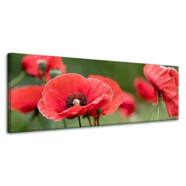 obraz-na-plotnie-botanika-czerwone-maki-120x40-cm-kwiaty-flora-laka-mak