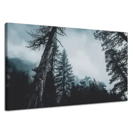 obraz-na-plotnie-natura-korony-drzew-120x70-cm-zamglony-las-drzewa-iglaste