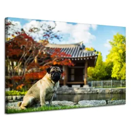 obraz-na-plotnie-zwierzeta-piesek-mops-120x80-cm-zabudowania-azjatyckie