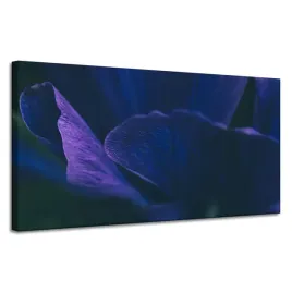 obraz-na-plotnie-botanika-fioletowe-platki-120x60-kwiat-idealny-do-sypialni