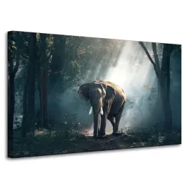 obraz-na-plotnie-zwierzeta-slon-100x60-cm-las-slon-afrykanski-w-cieniu