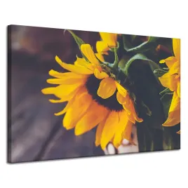 obraz-na-plotnie-botanika-sloneczniki-120x80-cm-zolte-platki-kwiaty-lato