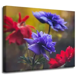 obraz-na-plotnie-botanika-kwiaty-polne-50x40-cm-wiosna-laka-dzika-przyroda