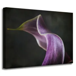 obraz-na-plotnie-kwiat-fioletowy-platek-40x30-cm-natura-kontrast-szare-tlo