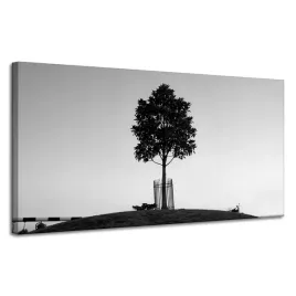 obraz-na-plotnie-natura-samotne-drzewo-czern-i-biel-120x60-nostalgia-widok
