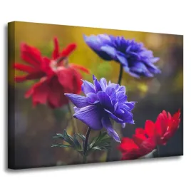 obraz-na-plotnie-botanika-kwiaty-polne-70x50-cm-wiosna-laka-dzika-przyroda