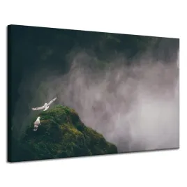 obraz-na-plotnie-natura-z-lotu-ptaka-120x80-cm-przyroda-ptaki-wzniesienie