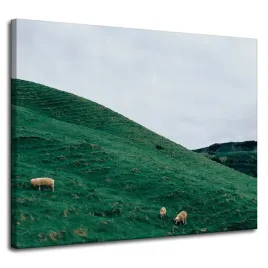 obraz-na-plotnie-natura-pastwisko-w-gorach-100x80-laki-mongoli-horyzont