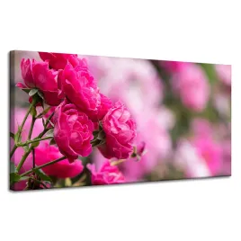 obraz-na-plotnie-botanika-rozowe-roze-120x60-cm-romantyzm-ogrod-kwiaty-roz