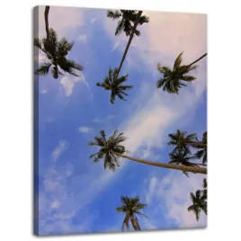 obraz-na-plotnie-natura-palmy-kokosowe-30x40-cm