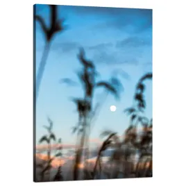obraz-na-plotnie-natura-polana-laka-wschod-slonca-80x120