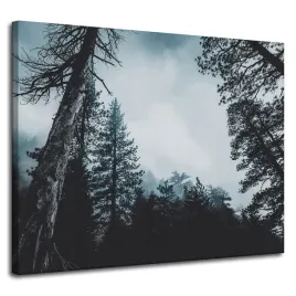 obraz-na-plotnie-natura-korony-drzew-100x80-cm-zamglony-las-drzewa-iglaste