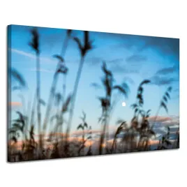 obraz-na-plotnie-natura-polana-laka-wschod-slonca-120x80