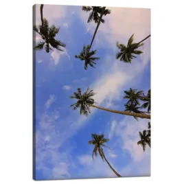 obraz-na-plotnie-natura-palmy-kokosowe-40x60-cm