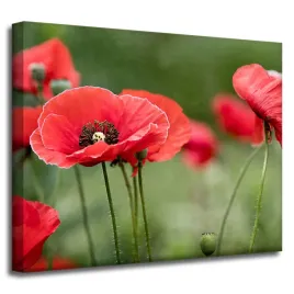 obraz-na-plotnie-botanika-czerwone-maki-50x40-cm-kwiaty-flora-laka-mak