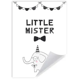 plakat-urodzinowy-zwierzeta-slonik-little-mister-21x297-cm
