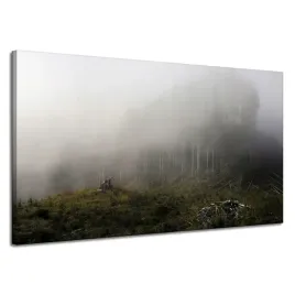 obraz-na-plotnie-natura-mgla-w-lesie-120x70-cm-drzewa-trawy-mglisty-klimat