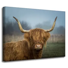 obraz-na-plotnie-zwierzeta-krowa-szkocka-40x30-cm-zwierzeta-hodowane-natura