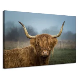 obraz-na-plotnie-zwierzeta-krowa-szkocka-120x80-cmzwierzeta-hodowane-widok