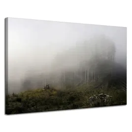 obraz-na-plotnie-natura-mgla-w-lesie-120x80-cm-drzewa-trawy-mglisty-klimat