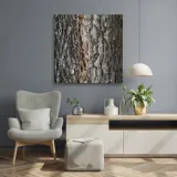 obraz-na-plotnie-natura-kora-drzewa-40x40-sposob-wykonania-druk-cyfrowy