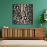 obraz-na-plotnie-natura-kora-drzewa-40x40-format-kwadratowy