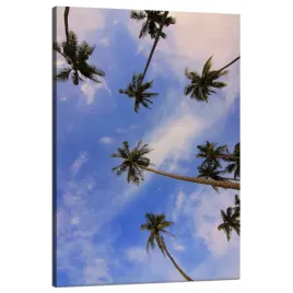 obraz-na-plotnie-natura-palmy-kokosowe-80x120-cm
