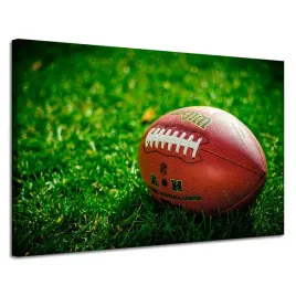 obraz-na-plotnie-mlodziezowe-pilka-football-120x80-sport-murawa-ameryka-pil