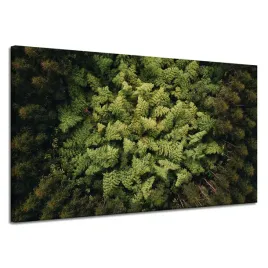 obraz-na-plotnie-natura-drzewa-z-lotu-ptaka-120x70