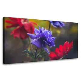 obraz-na-plotnie-botanika-kwiaty-polne-80x40-cm-wiosna-laka-dzika-przyroda