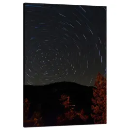 obraz-na-plotnie-natura-las-noc-gory-abstrakcja-drzewa-80x120