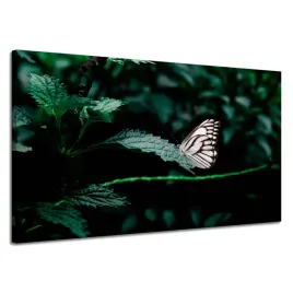 obraz-na-plotnie-natura-motylek-na-lisciu-120x70-pokrzywa-roslinosc-owady