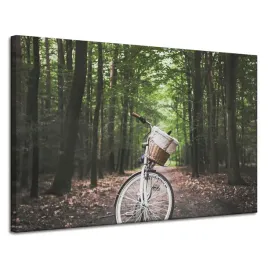obraz-na-plotnie-mlodziezowe-rower-w-lesie-120x80
