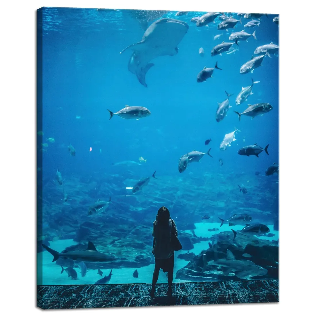 obraz-na-plotnie-ludzie-akwarium-40x50-cm-stan-nowy