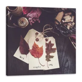 obraz-na-plotnie-liscie-klonu-debu-retro-vintage-40x40