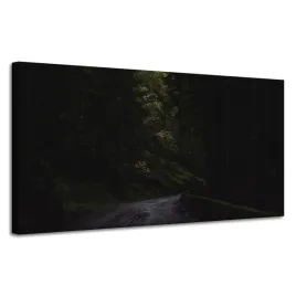 obraz-na-plotnie-natura-gorska-droga-120x60-cm-las-mrok-tajemniczosc-cien