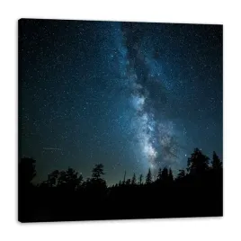 obraz-na-plotnie-kosmos-noc-las-mglawica-40x40