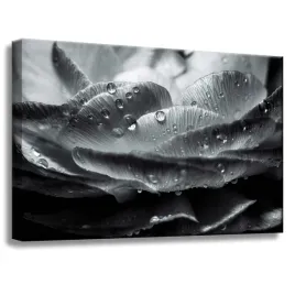 obraz-na-plotnie-kwiat-w-kroplach-rosy-60x40-cm-czarno-bialy-w-szarosciach
